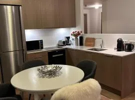 Reykjavikrental