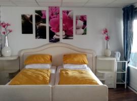 B&B aan het water, bed and breakfast en Earnewâld