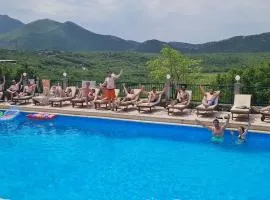 Villa Krnic Olimpic Pool