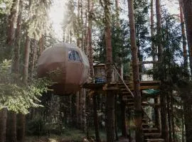 Nature calls - tree tents