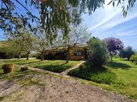 Holiday Home Ovest by Interhome