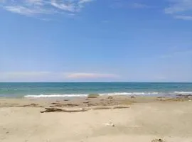 Tambo Marina Eco Hostal