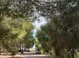 Agriturismo Bellu, estadía rural en Riola Sardo