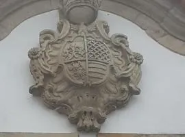 Solar dos Araújo Coutinho - Casa dos Cavaleiros - Turismo Habitação