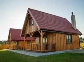 Dreamland skorupki