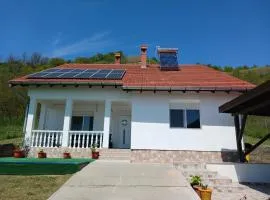 Casa de Vacanta pe malul Dunarii