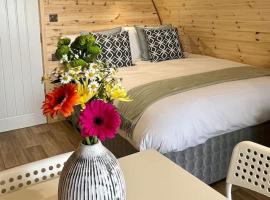 Plumgrove Pod Easkey, chalet de montaña en Sligo