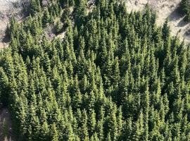 Andora hotel, hotel v destinaci Almaty