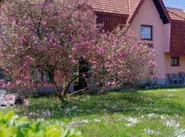 Apartman Kutak Nešić