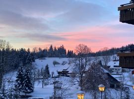 Boutique Hotel and Apartments Pension Sternen, hotel en Todtmoos