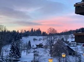 Boutique Hotel and Apartments Pension Sternen