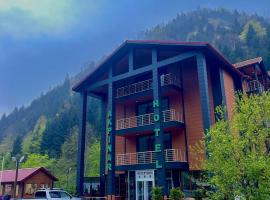 Akpinar Hotel, Hotel in Uzungöl