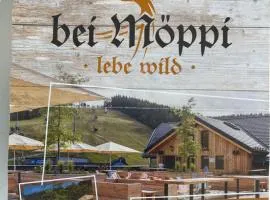 Appartement an Möppis Hütte