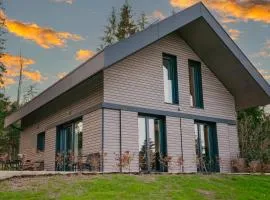 Janina's Dragonfly house