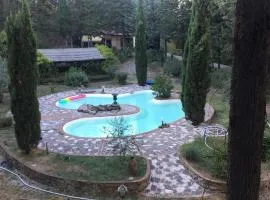 Villamonestevole501