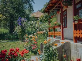 Casa Bajora, complejo de caba&ntilde;as en Scorţeni