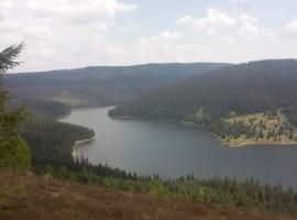 Cabana nea Nicu, hotel din Bălceşti