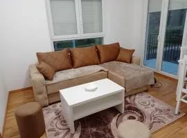 Apartman '' PETICA''