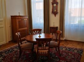 Weisz Castle style Apartment - With Free Private Parking,Wifi, hotel em Carei