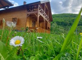 Ranč Sunshine: Ripač şehrinde bir otel