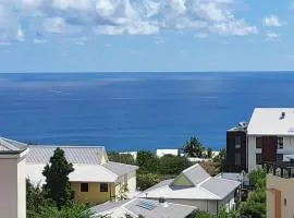 Beau T3 Litchi vue océan piscine