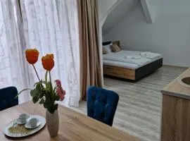 ORI Orange Studio Malul Mureșului