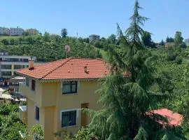 esa house