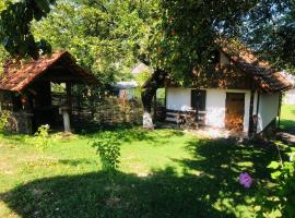 Еко Дім з СОЛОМИ, holiday rental in Solochin