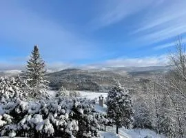 481 - Chemin du Lac Mont-Tremblant