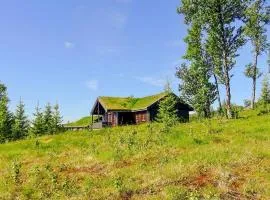 Stunning Home In Gol With Sauna