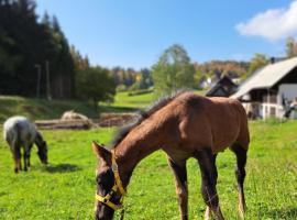 Tourist Farm Pr' Maretč, kuća za odmor ili apartman u Bohinjskoj Bistrici