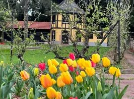 Le Parc du Séquoia & SPA proche Colmar et Riquewihr