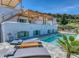 Magic Villa With Swimming Pool in Paros