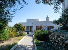 Villa Depasta Cycladic house Aegean Sea view, hotel in Apollonia