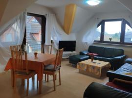 Monteursunterkunft Nidderau (20 km Hanau, 30 km Frankfurt)、Nidderauのホテル