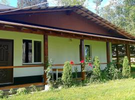 Dacha PODOBOVETS 127, hotel with parking in Podobovets