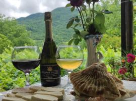 Family Hotel Sani, &xi;&epsilon;&nu;ώ&nu;&alpha;&sigmaf; &sigma;&epsilon; Kvatsʼkhutʼi