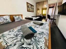 The NICE - 3 rooms, 3air cond, 3TV, 3fans, 2 wc, WIfi everywhere 5min aeroport, train, beach, 1min tram, 15 min centre, port, parking possible