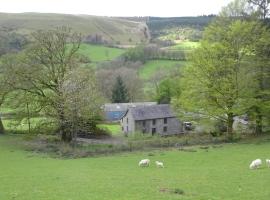 Blaentwrch Farmhouse, holiday home in Llanddewi-Brefi