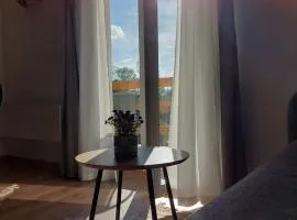 Apartman Krinka