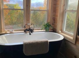 Cabin with a view in Hot Springs—walk to AT, hotel Hot Springsben