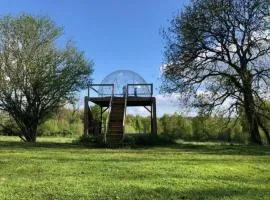 Bulle Elevage Girbal