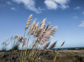 Ocean View Cottage, hotel in Pescadero