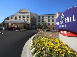 SpringHill Suites by Marriott Charleston North