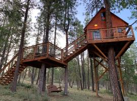 Treehouse Ranch, campsite in Goldendale