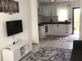 Backyard Apart