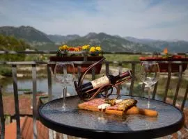 Apartment Dapcevic Skadar lake