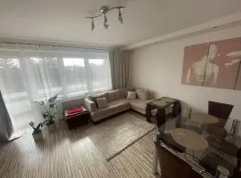 VIP Apartment Kolorowa