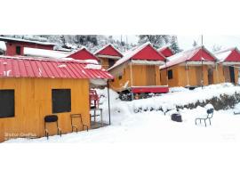 Shivalik Camping & Cottage, Joshimath, homestay di Joshimath