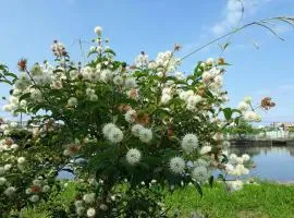 Yilan B&B - Happy Snail